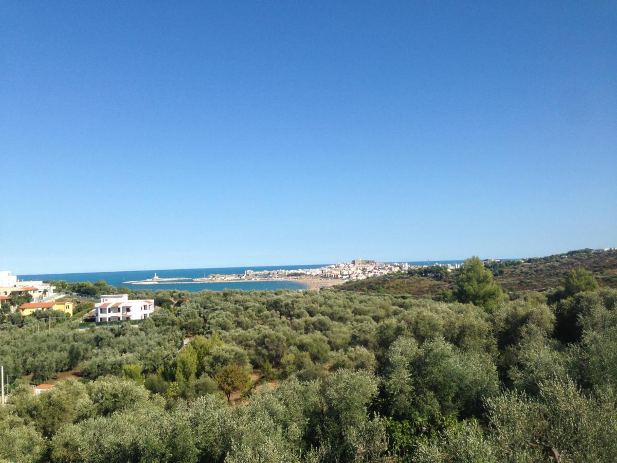 Vill'Aura Διαμέρισμα Βιέστε Εξωτερικό φωτογραφία