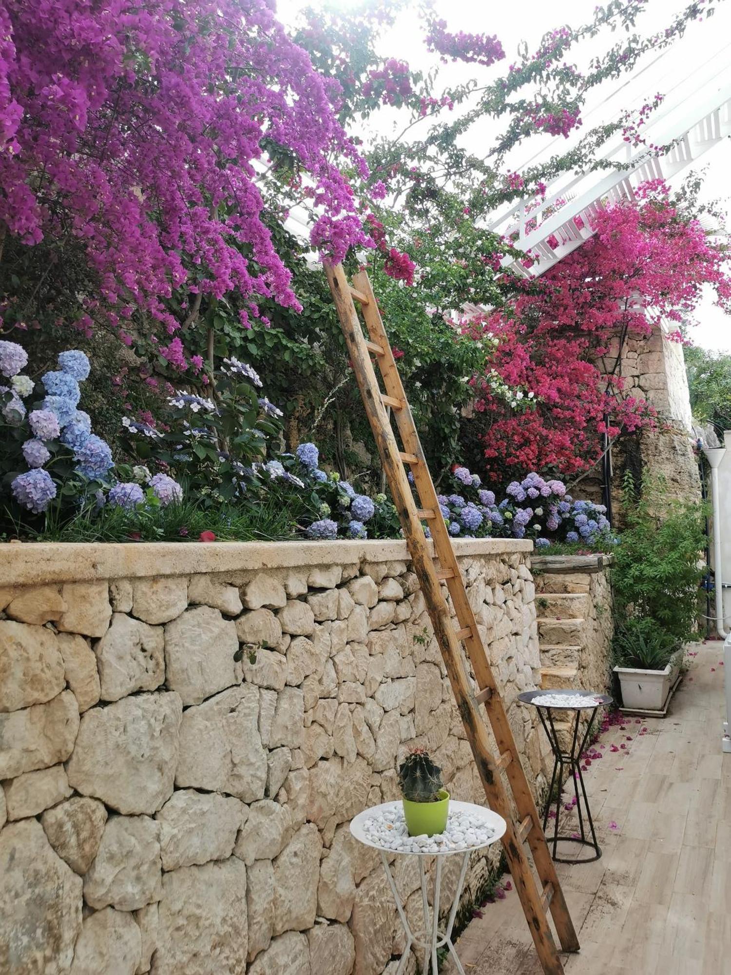Vill'Aura Διαμέρισμα Βιέστε Εξωτερικό φωτογραφία